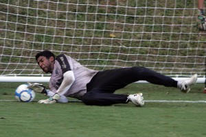 aranha terino 300x200 - Retrospectiva 2010 - Janeiro