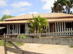 196319 202225959796380 100000269327354 714954 3550095 n 300x225 - Galo em Fam&iacute;lia - Vov&oacute; Ruth
