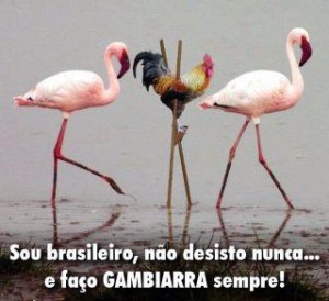 304044 296362457047591 100000215184343 1428405 720430605 n 300x274 - O caminho de cada um &ndash; Faltam 11