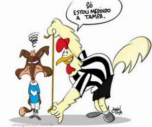 392878 247472401975859 100001393046163 717624 382845035 n 300x250 - Atl&eacute;tico 2x1 Coritiba - V&iacute;deos (parte 1)