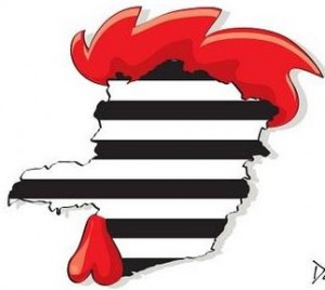 294616 202526156483448 100001781964071 466772 1995453952 n 300x268 - Sou Atleticana