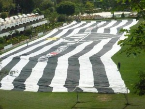 182517 239132702864121 140312704 n 300x225 - Confian&ccedil;a: A Cereja do Bolo