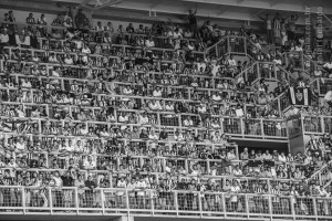 a massa daniel teobaldo 300x200 - Galo nosso de cada dia