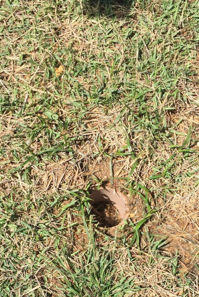 ea9202d7 7e18 4068 98d4 2c2079707c05 686x1024 - Semifinal do Campeonato Mineiro - Confus&atilde;o na arquibancada e campo minado no gramado