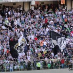 13442472 1018938561518935 7912023336097907739 o 150x150 - Eu na arquibancada - Atl&eacute;tico x Cruzeiro